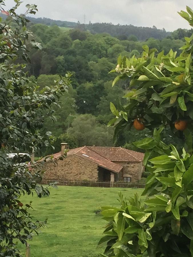 Villa Casa Torres Cruces Esterno foto
